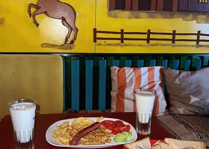 Chilli Auberge de jeunesse