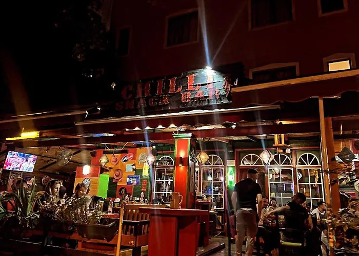 Auberge de jeunesse Chilli Tirana