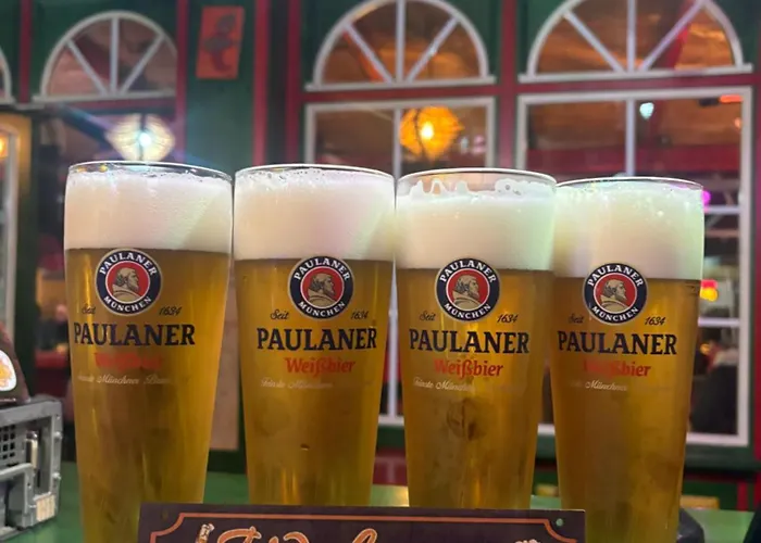 Auberge de jeunesse Chilli Tirana